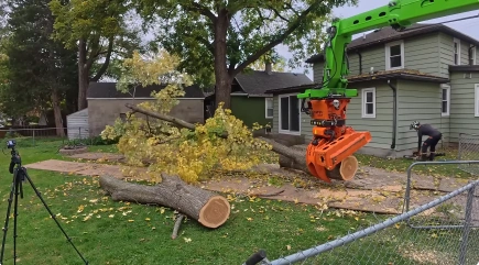 Stump Grinding in Katy, TX