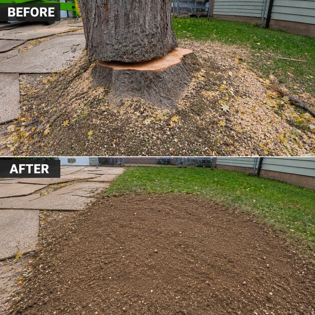 Before and after emergency storm damage tree removal in Katy, TX