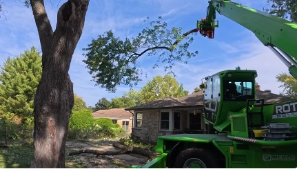 Spider lift with grapple saw attachment trimming a large tree branch near a Katy home