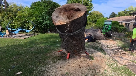 Large tree trunk section cut and wedged upright in a backyard during a Katy, TX tree removal