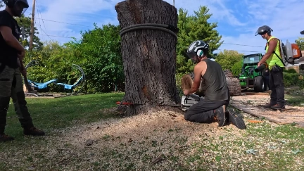 Katy Tree Service crew cutting through a large tree trunk with a chipper truck nearby