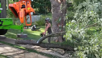 Arborist cutting a fallen tree limb with a chainsaw beside a spider lift