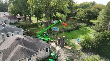 Tree crew using a spider lift to trim branches near a home roofline in Katy, TX