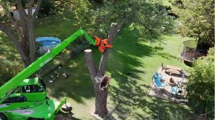 Aerial view of a spider lift removing a large tree limb over a backyard pool in Katy, TX