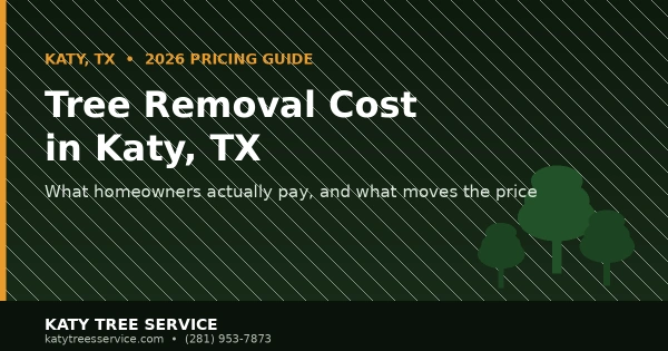 Tree Removal Cost in Katy, TX: 2026 Pricing Guide