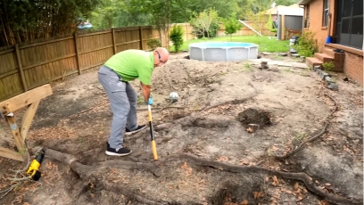 Tree root removal service in Katy TX